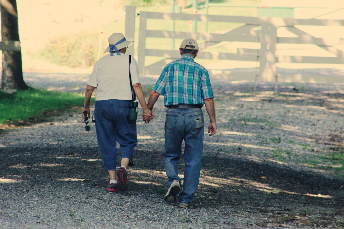 An older couple in jeans and sun hats walk hand in hand down a sunny gravel path toward a white farm gate, seen from behind.